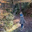 Chemin dans les feuilles