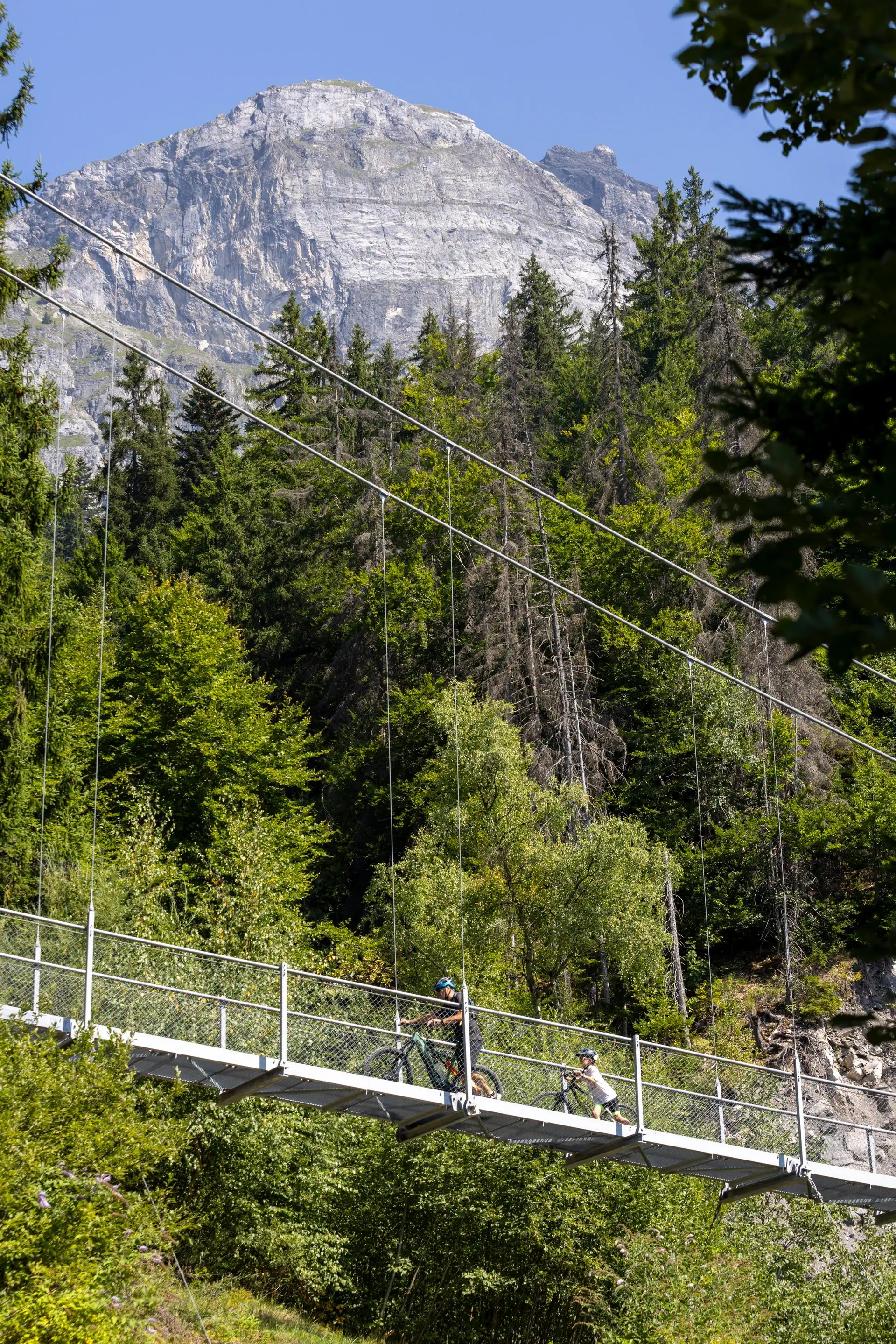 Passerelle himalayenne et lac vert depuis le plateau 100725 10
