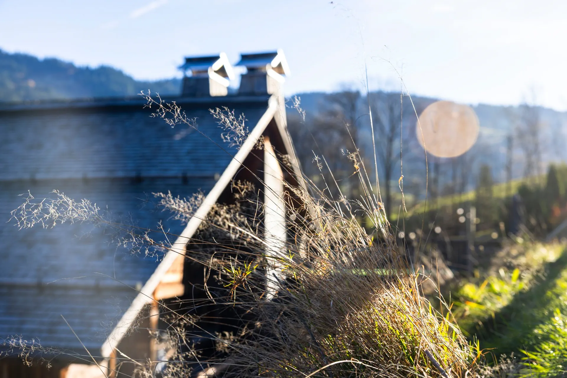 Coucou du Toi du Monde 071125 5