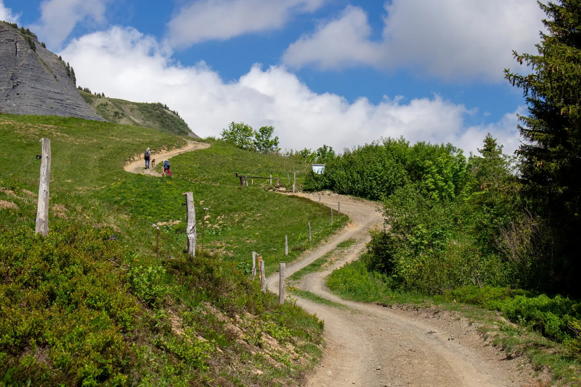 Chemin de l'Avenaz