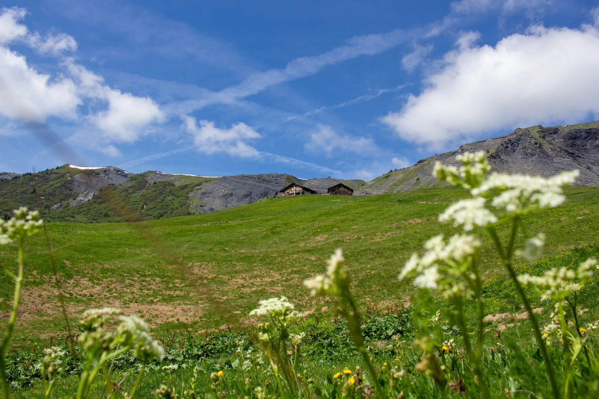 Alpage de l'Avenaz depuis les Plaines