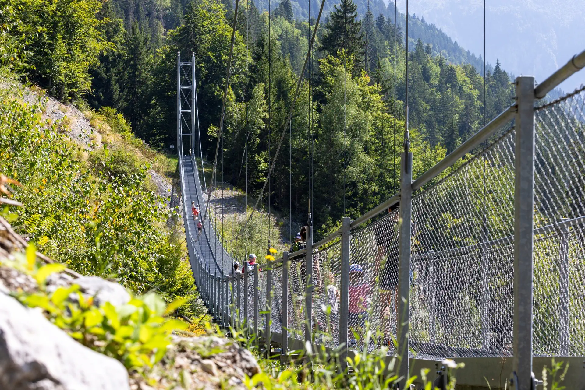 Du Plateau d'Assy au Lac Vert par la passerelle himalayenne du Nant Bordon
