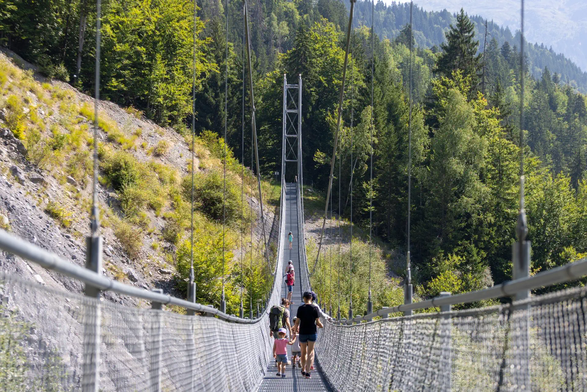 Passerelle himalayenne et lac vert depuis le plateau 100725 16