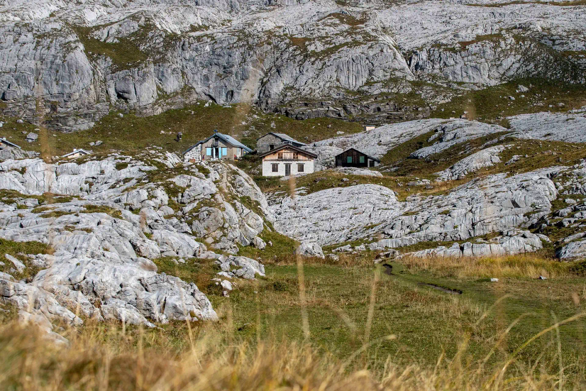 Platé Barmusse 011025 6